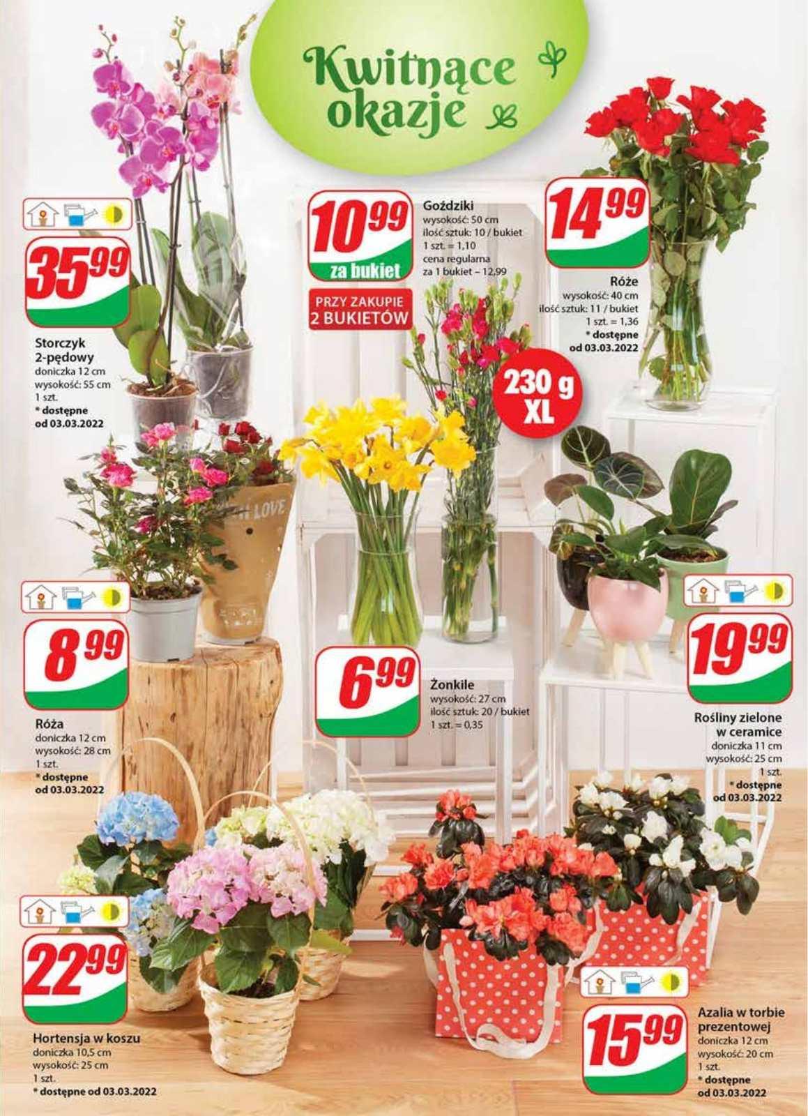 Gazetka promocyjna DINO str. 17