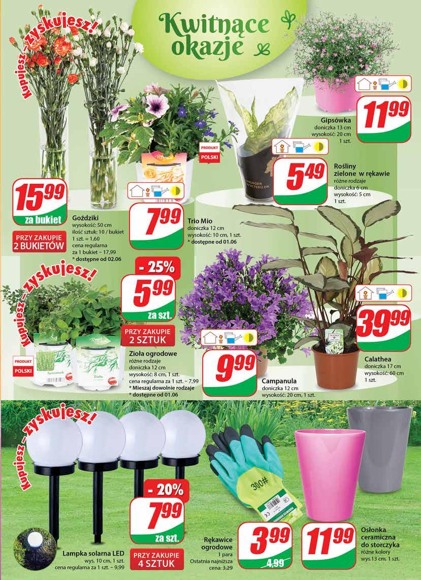 Gazetka promocyjna DINO str. 19