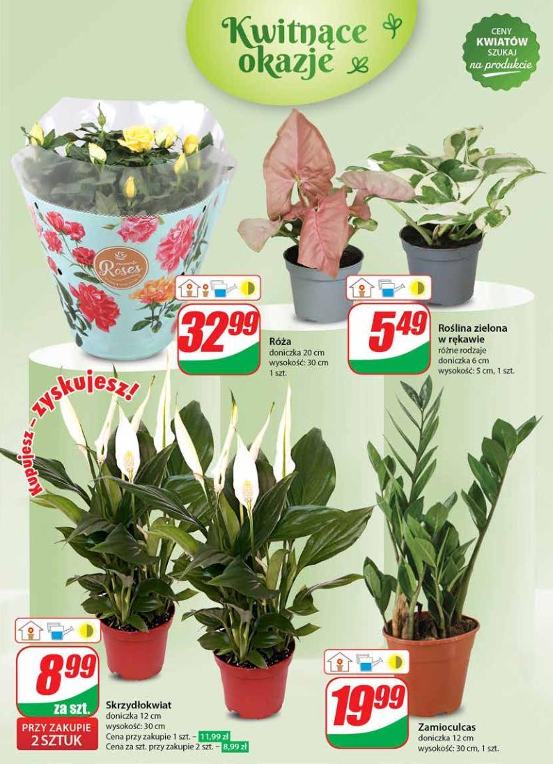 Gazetka promocyjna DINO str. 49