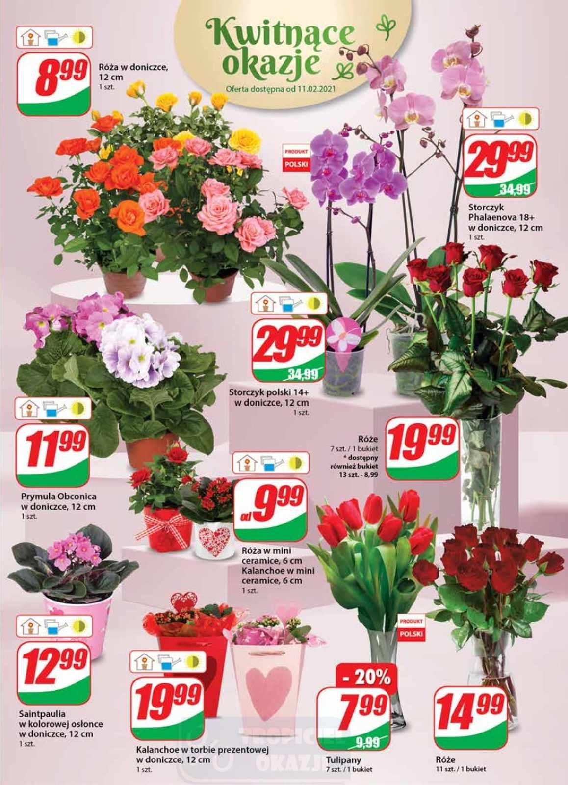 Gazetka promocyjna DINO str. 17