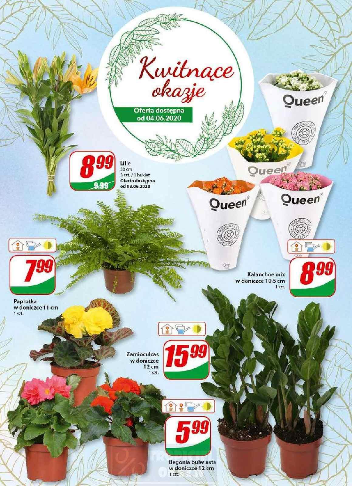 Gazetka promocyjna DINO str. 14