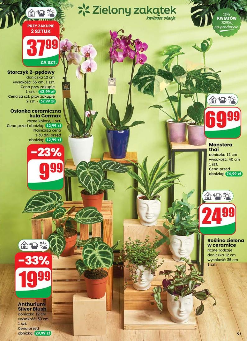 Gazetka promocyjna DINO str. 51