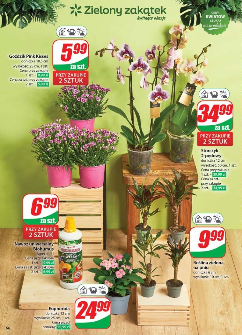 Gazetka promocyjna DINO str. 60