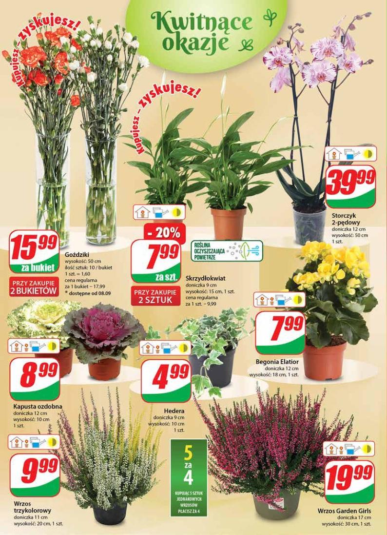 Gazetka promocyjna DINO str. 20