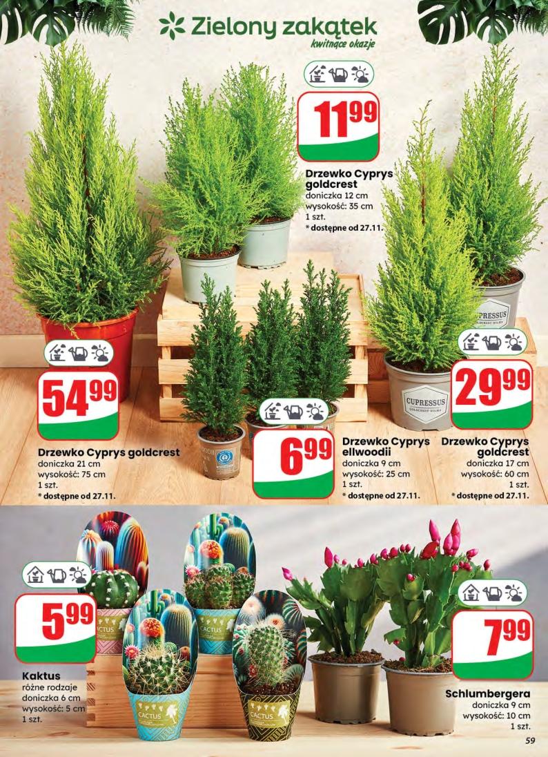 Gazetka promocyjna DINO str. 59