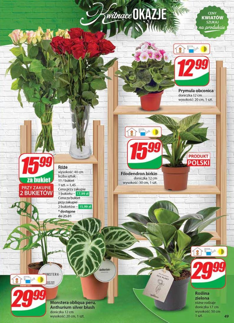 Gazetka promocyjna DINO str. 49