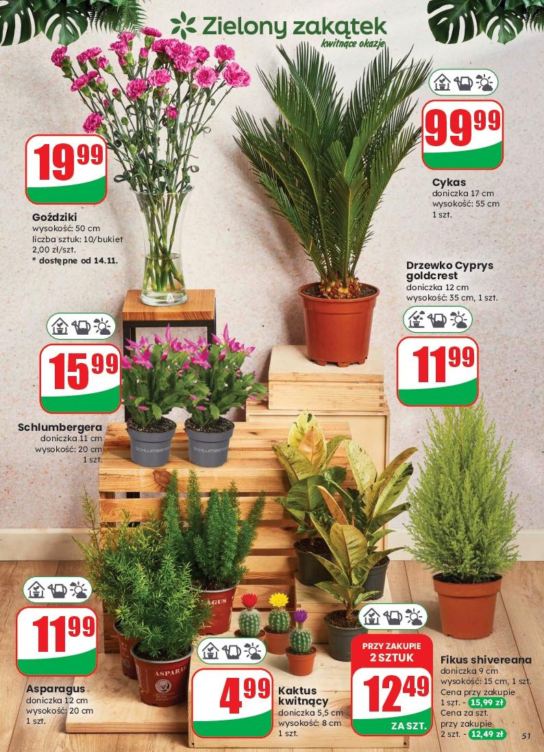 Gazetka promocyjna DINO str. 50