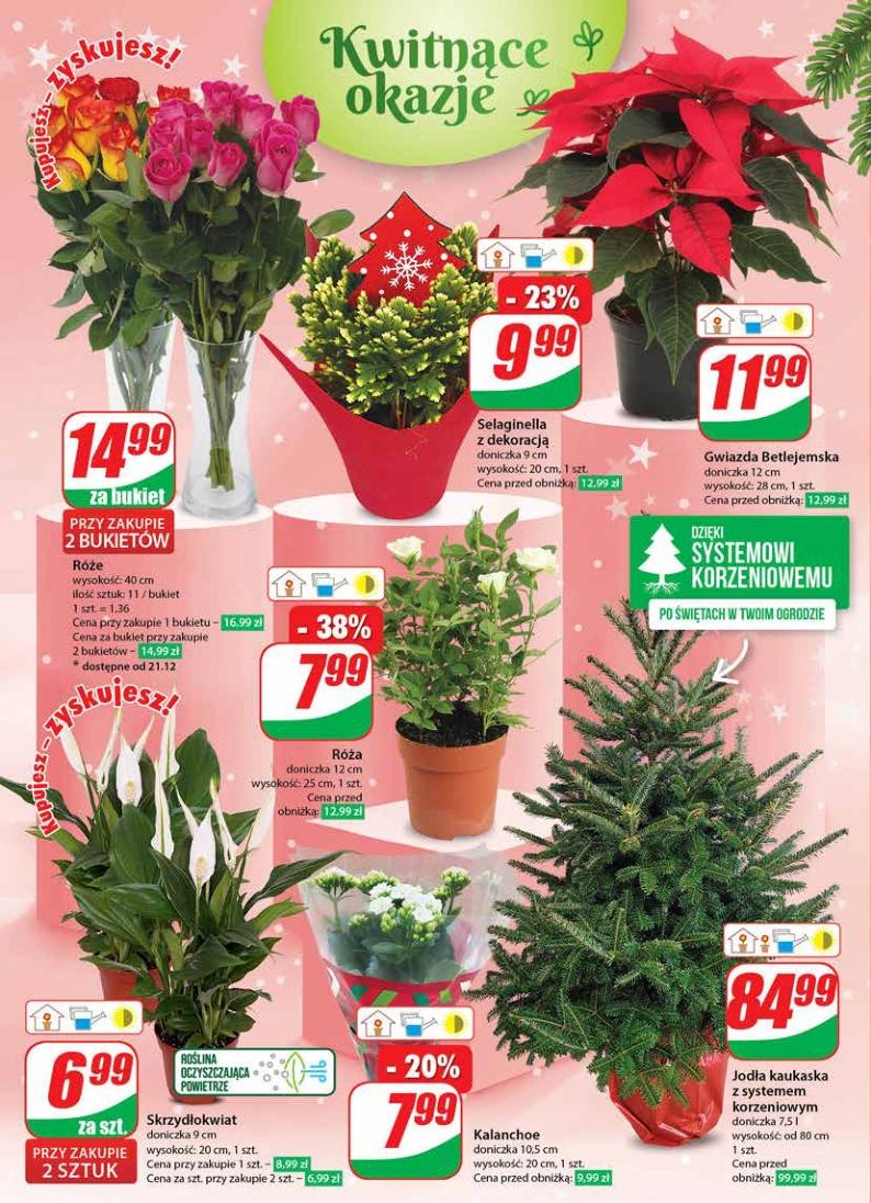 Gazetka promocyjna DINO str. 22