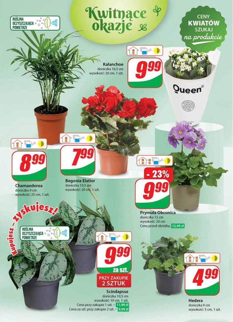 Gazetka promocyjna DINO str. 59