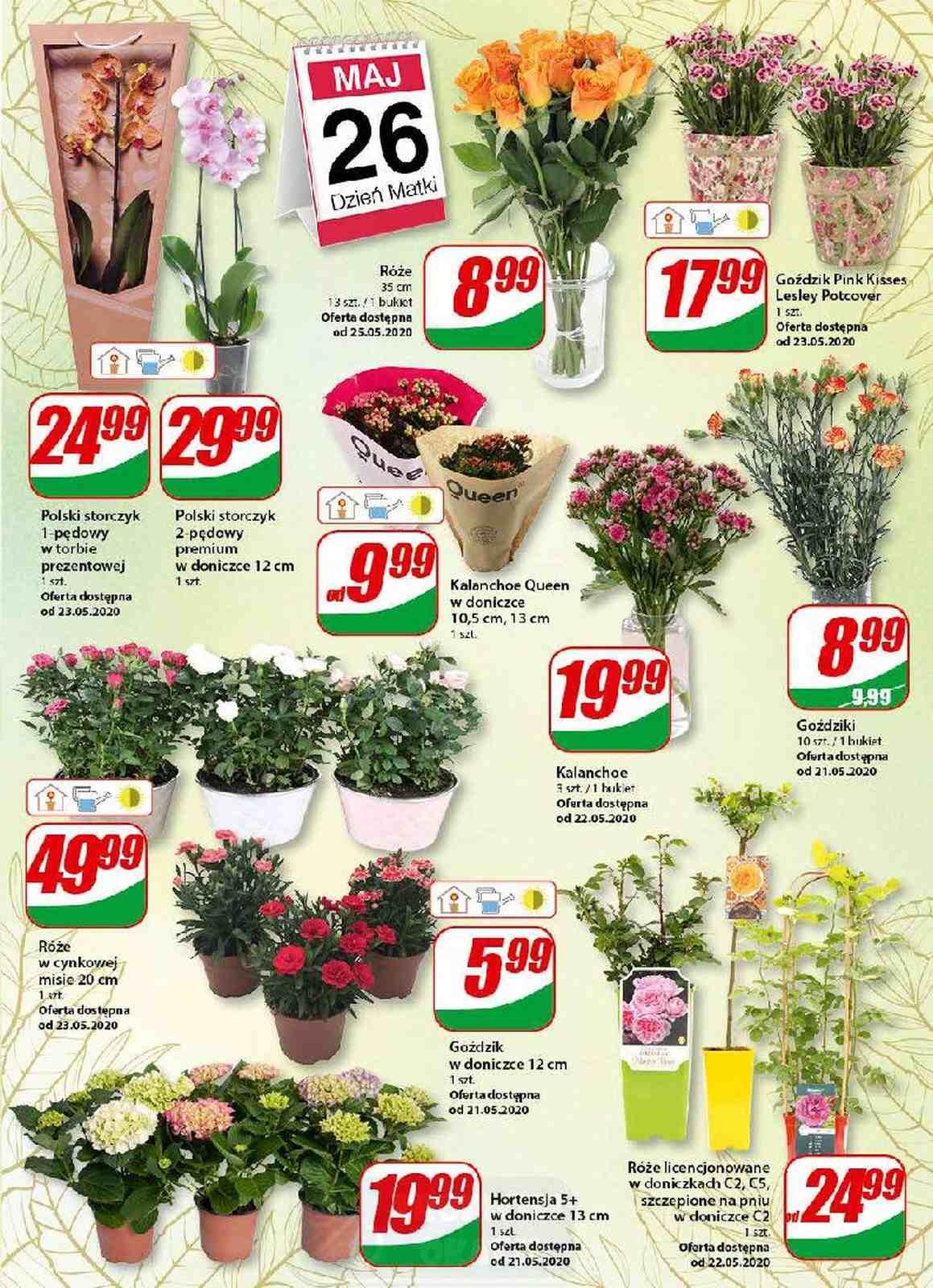 Gazetka promocyjna DINO str. 13