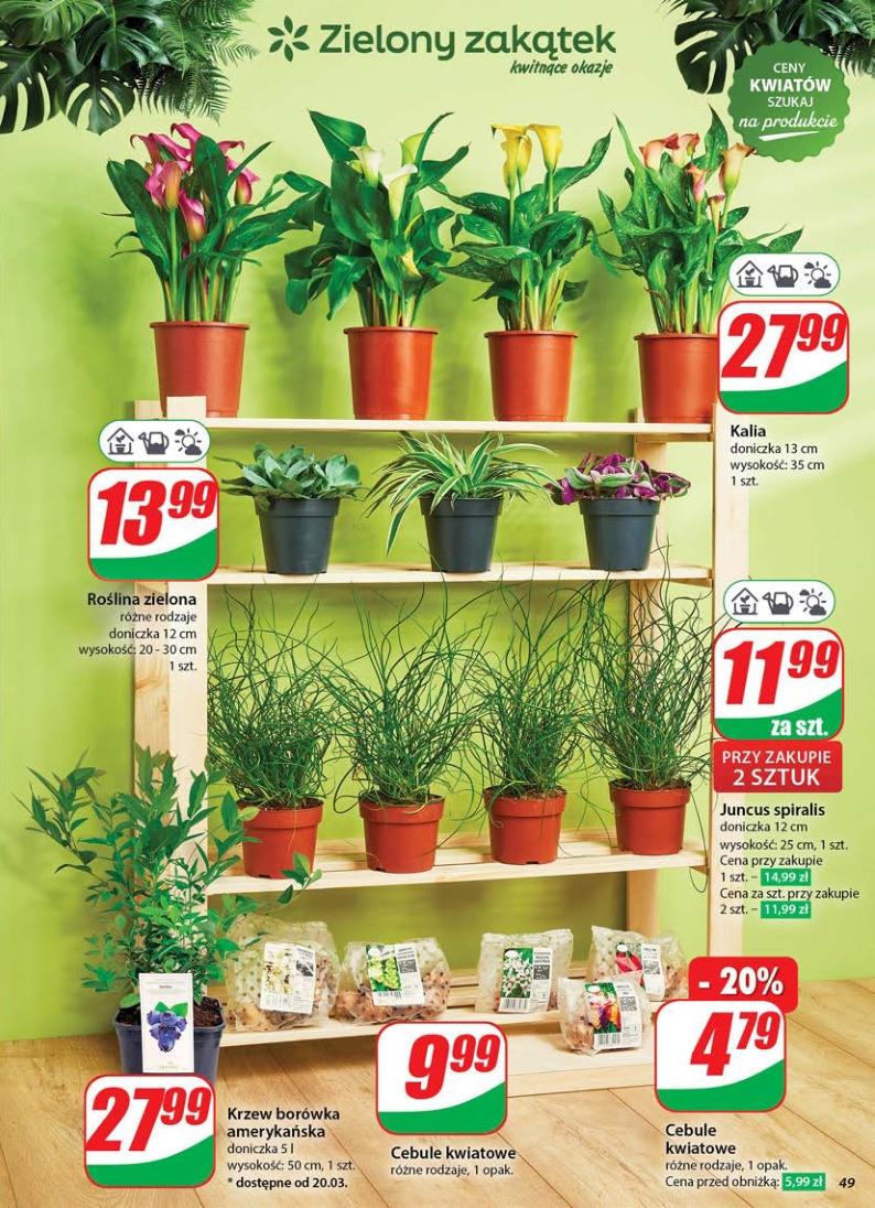 Gazetka promocyjna DINO str. 49