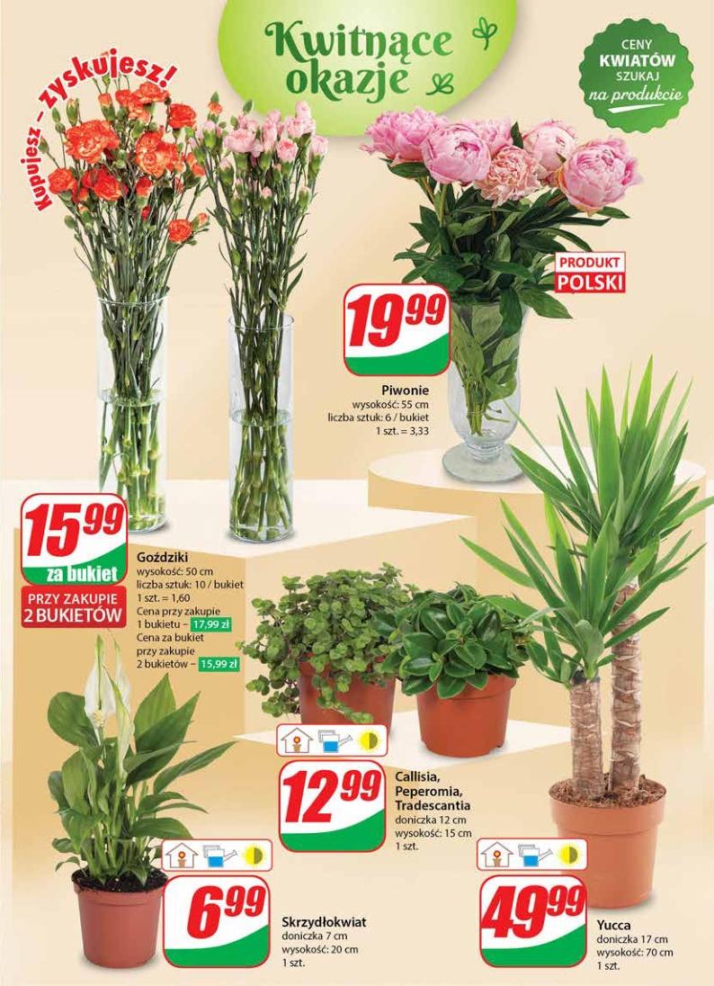 Gazetka promocyjna DINO str. 49