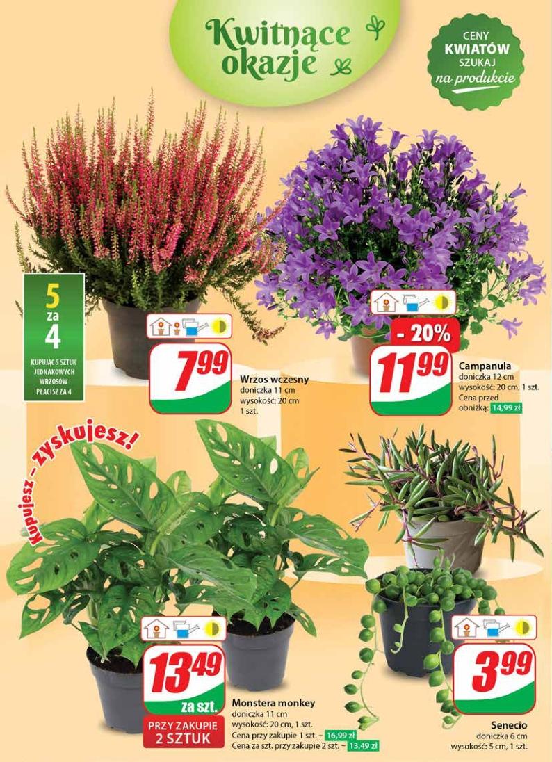 Gazetka promocyjna DINO str. 50