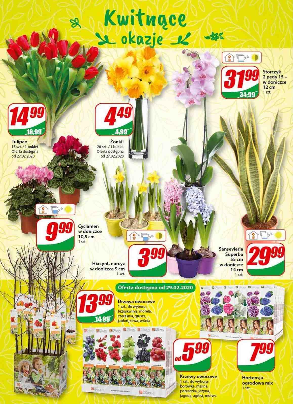 Gazetka promocyjna DINO str. 14