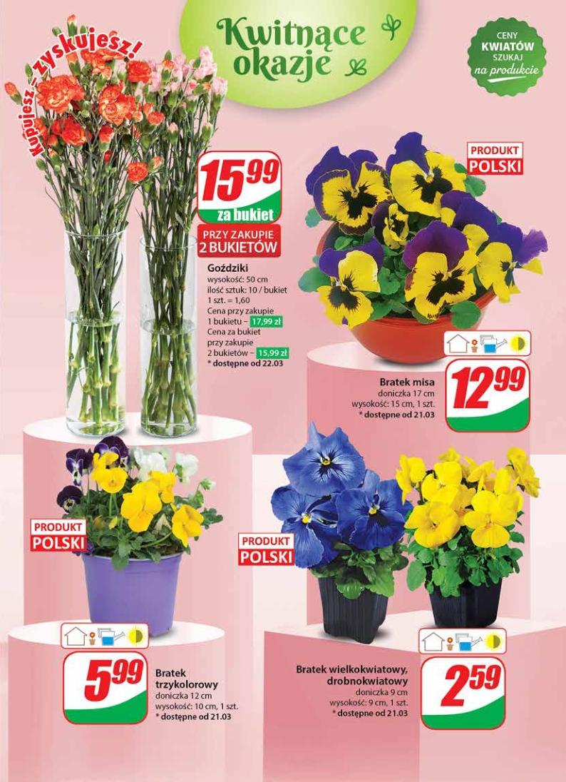 Gazetka promocyjna DINO str. 55