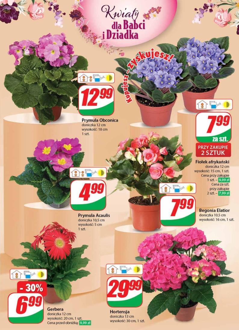 Gazetka promocyjna DINO str. 49