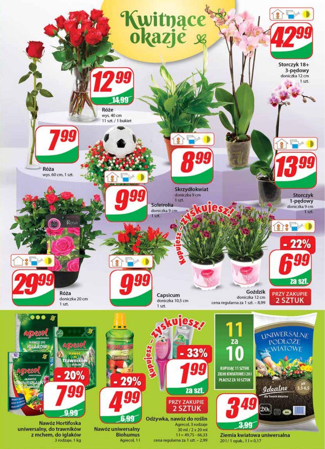 Gazetka promocyjna DINO str. 19