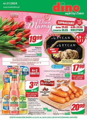 Gazetka Dino