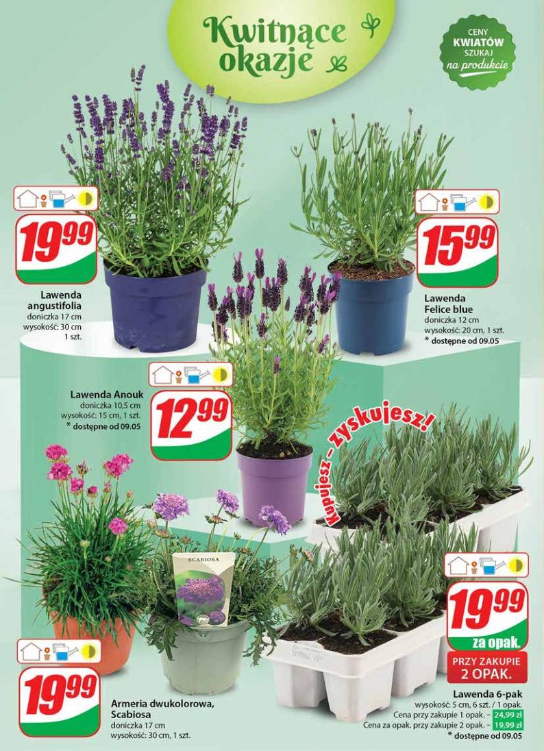 Gazetka promocyjna DINO str. 56