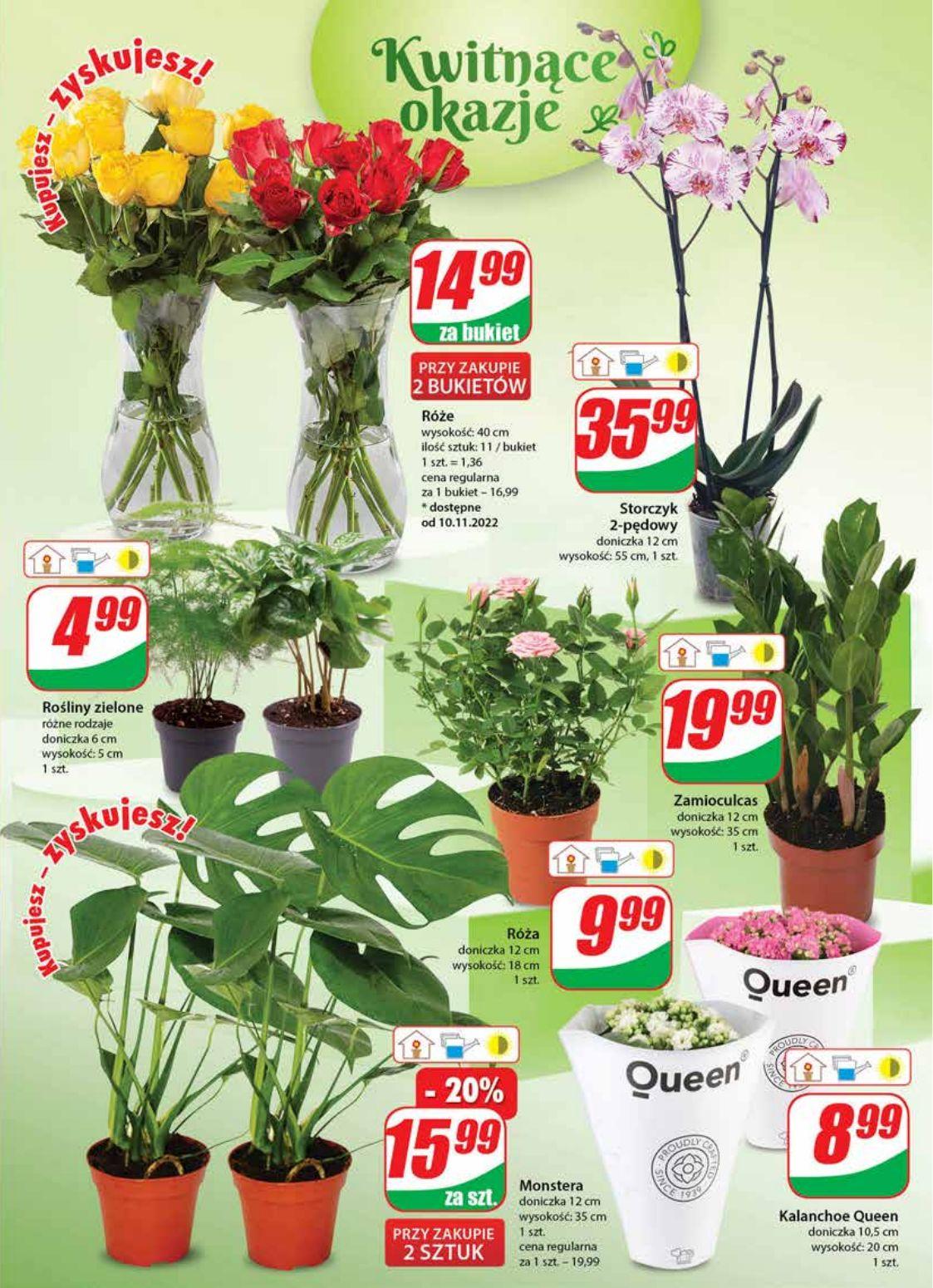 Gazetka promocyjna DINO str. 19