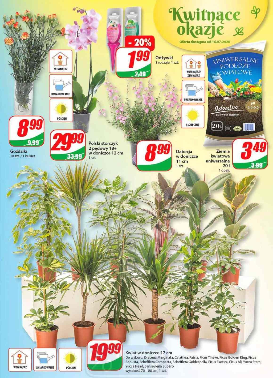 Gazetka promocyjna DINO str. 15