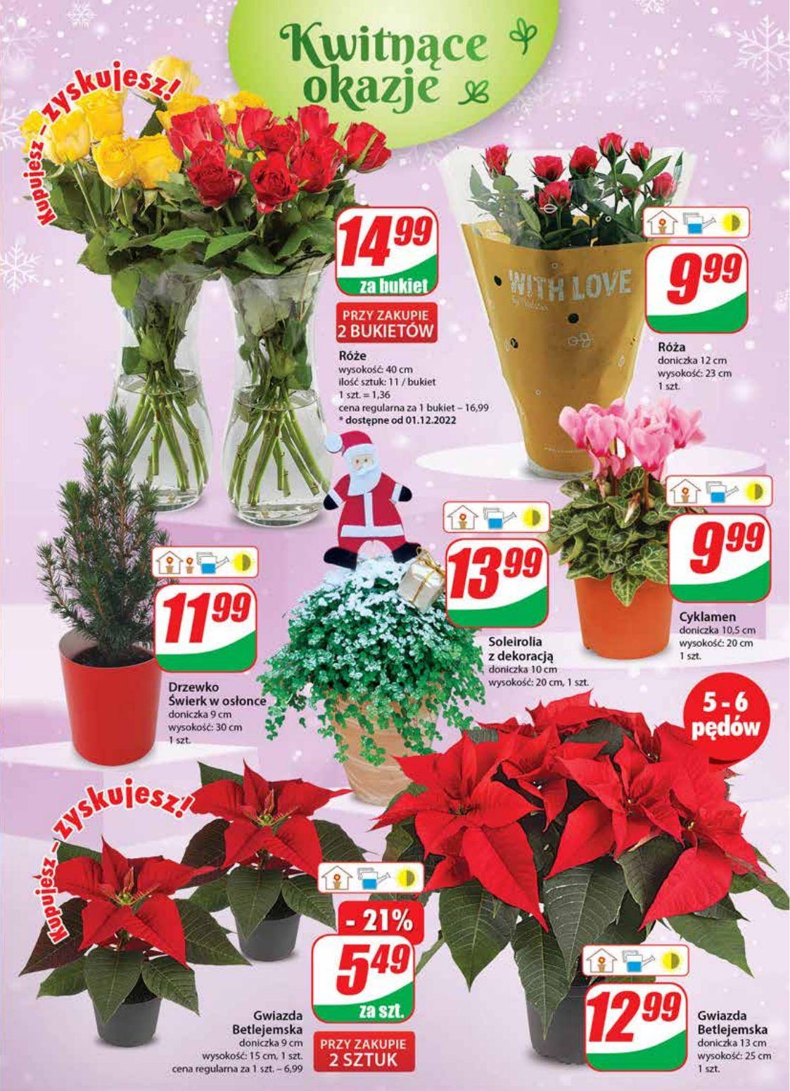 Gazetka promocyjna DINO str. 21