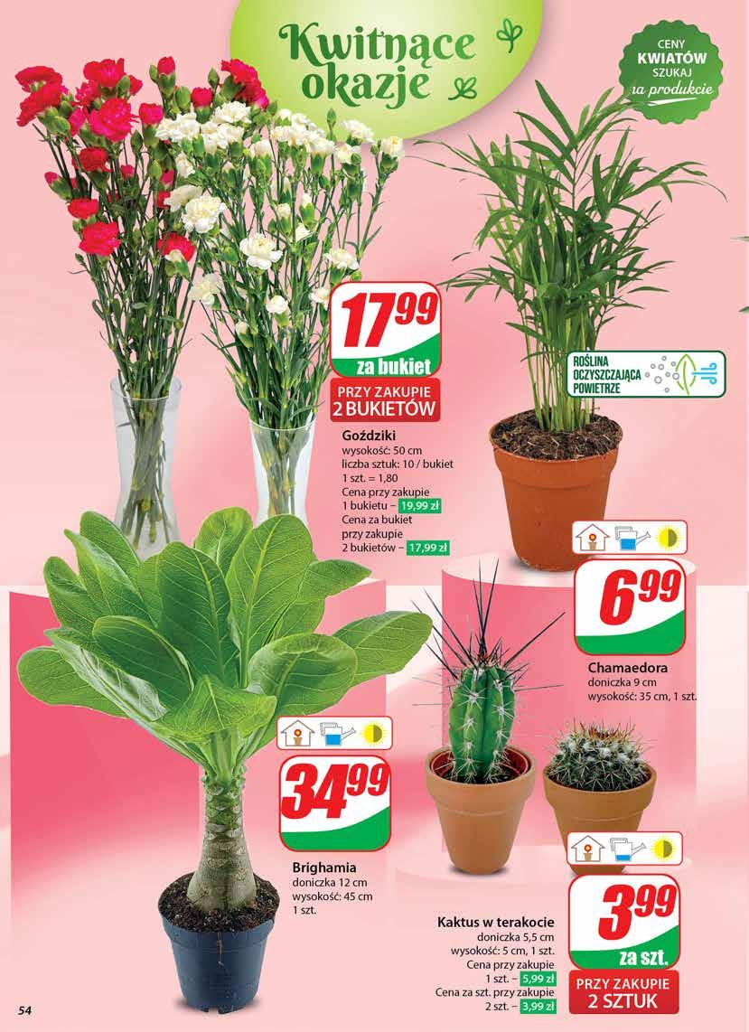 Gazetka promocyjna DINO str. 54