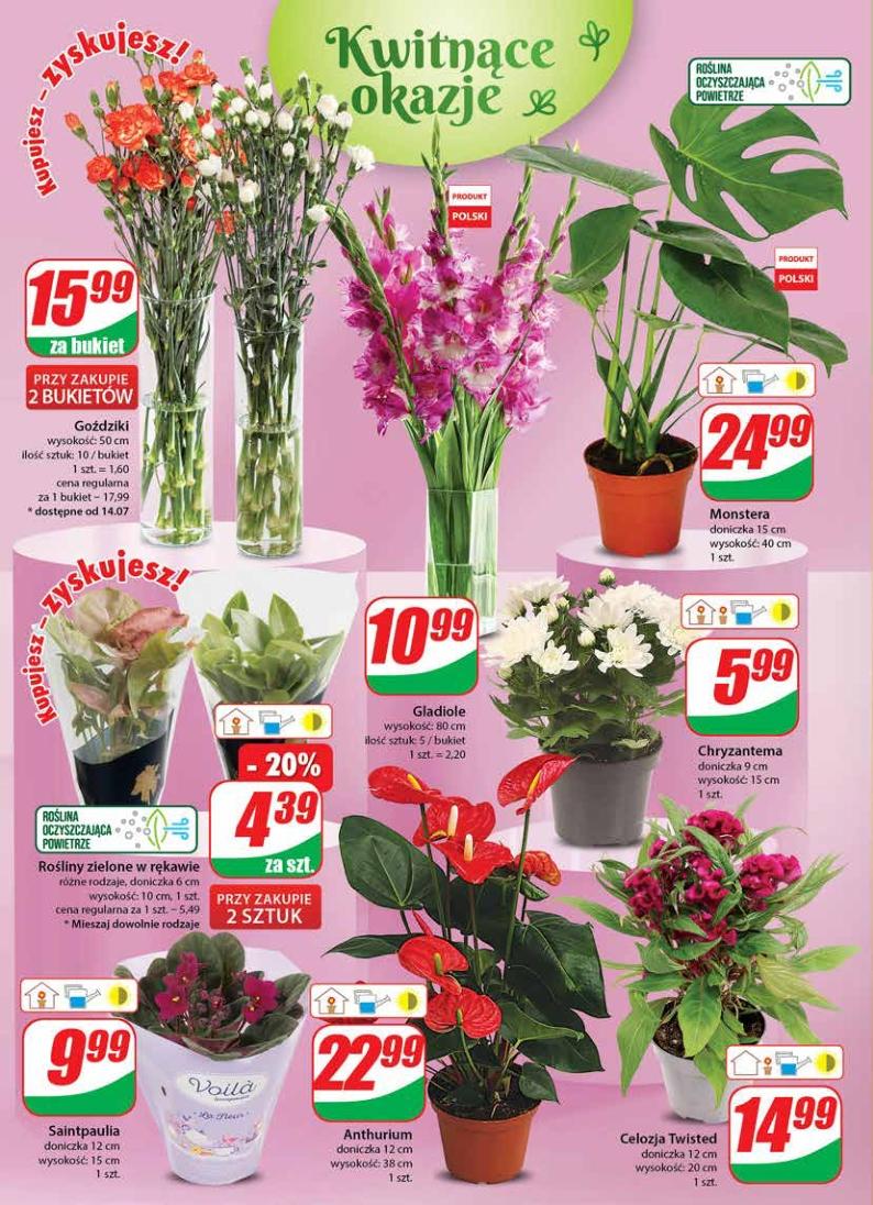 Gazetka promocyjna DINO str. 18