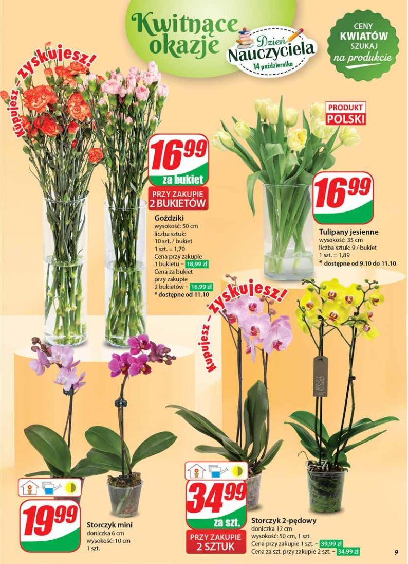 Gazetka promocyjna DINO str. 9