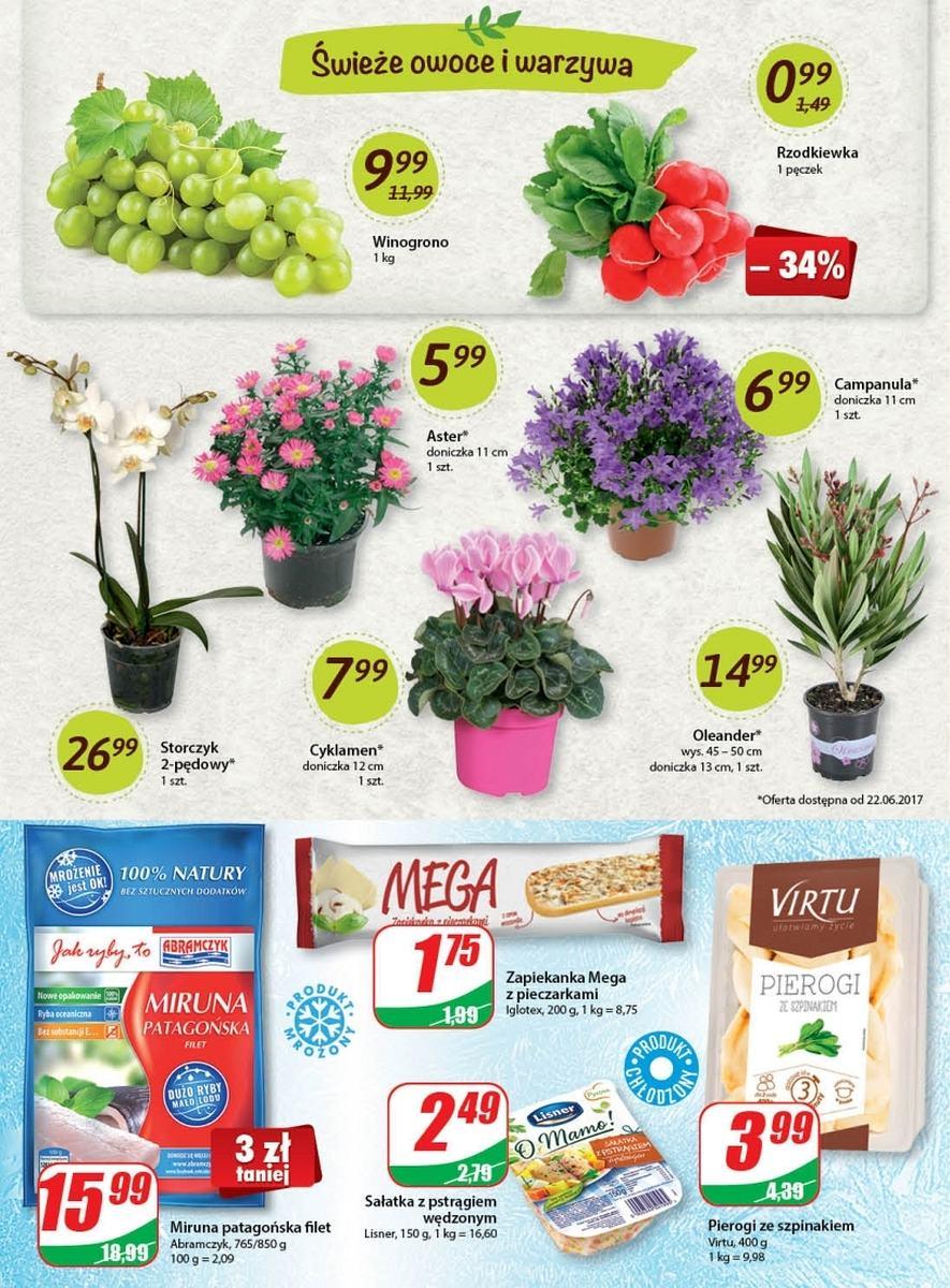 Gazetka promocyjna DINO str. 4