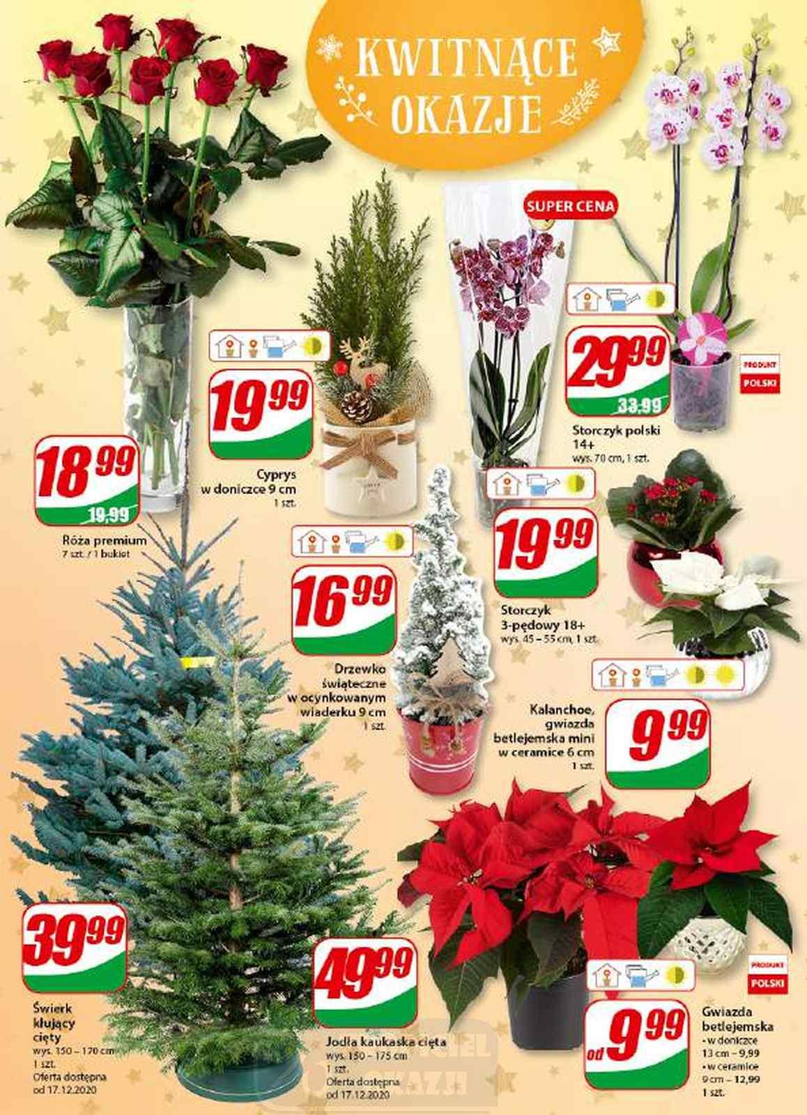 Gazetka promocyjna DINO str. 21