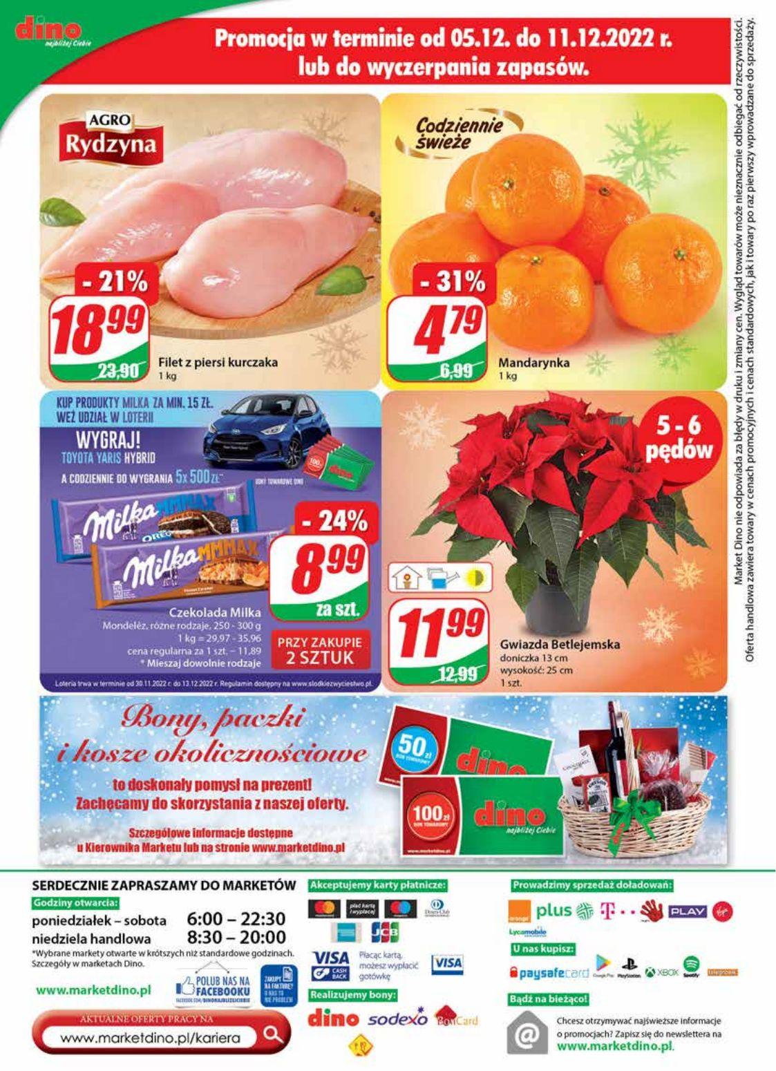 Gazetka promocyjna DINO str. 29
