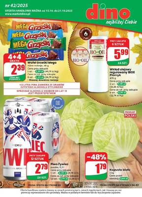 Gazetka Dino