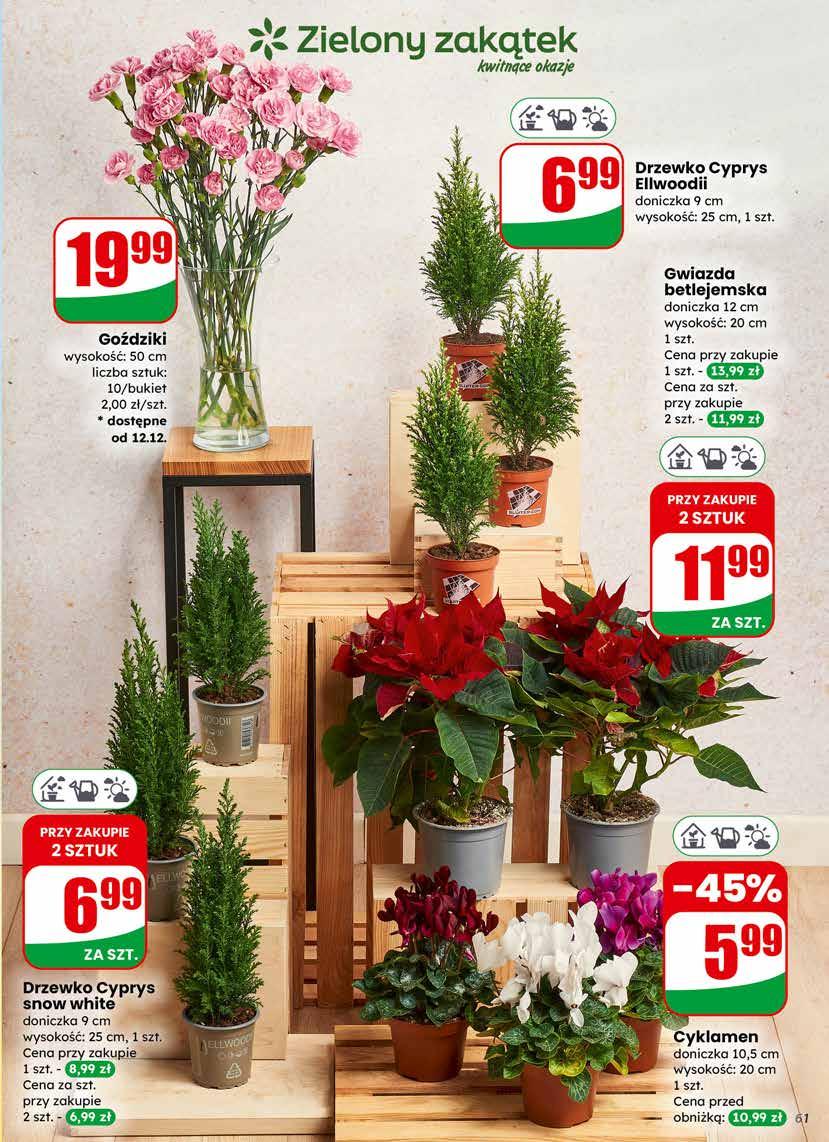 Gazetka promocyjna DINO str. 61