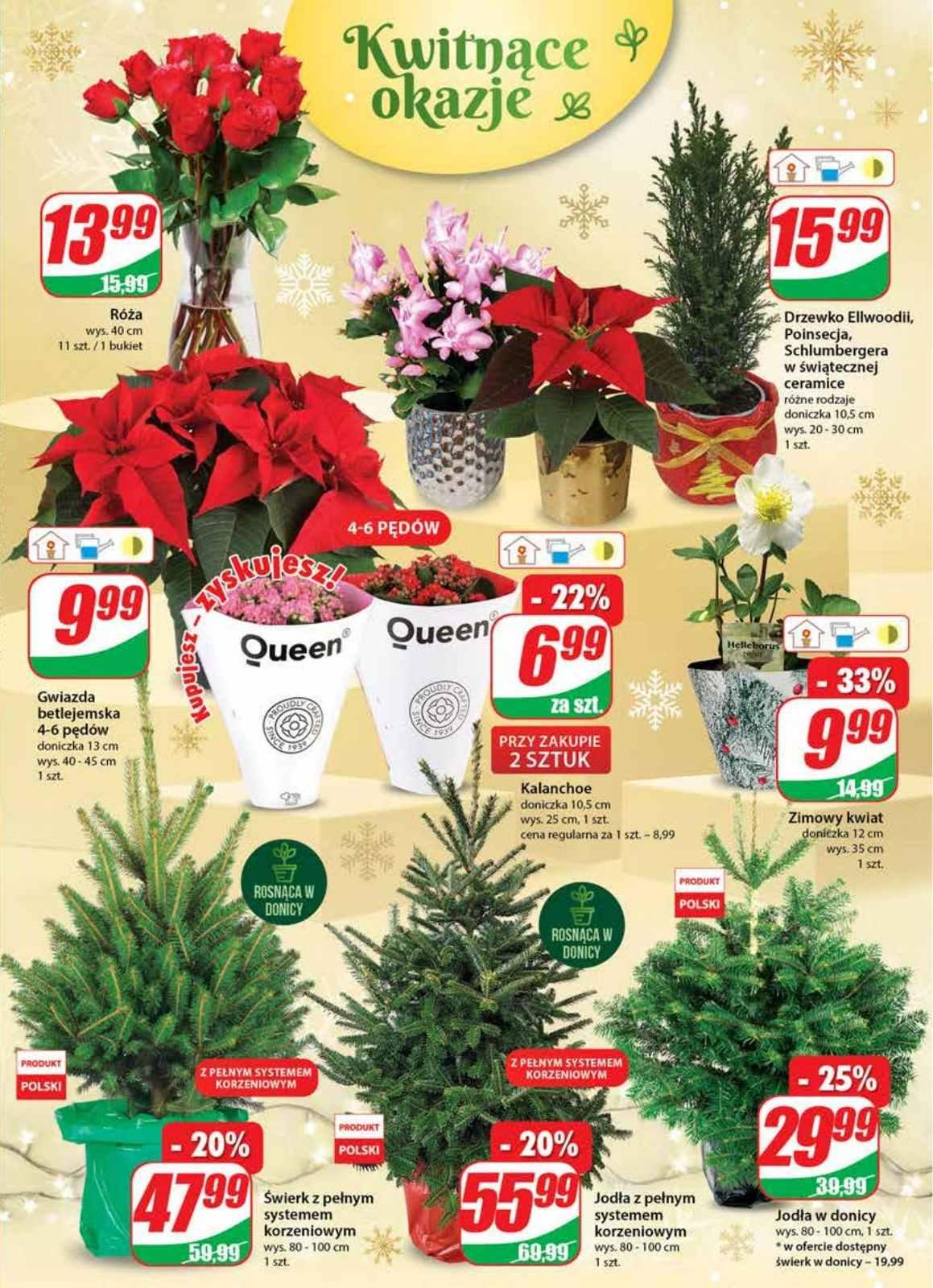 Gazetka promocyjna DINO str. 19