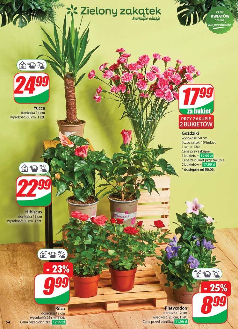 Gazetka promocyjna DINO str. 54