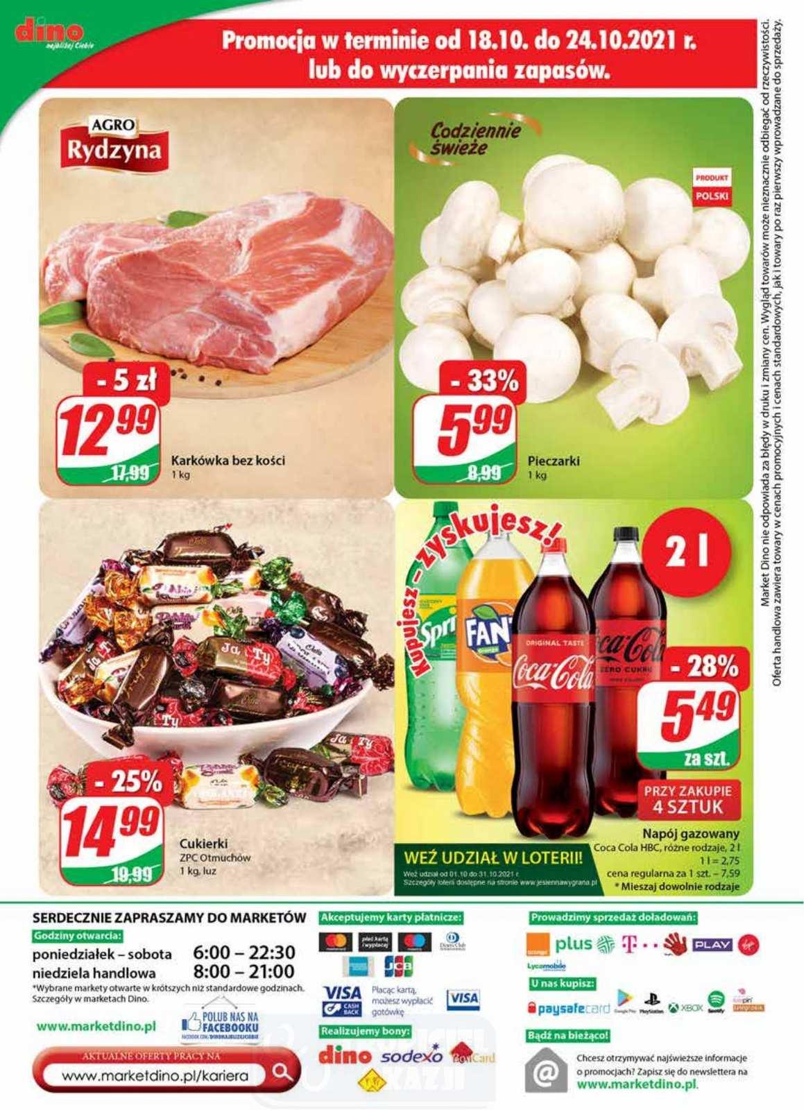 Gazetka promocyjna DINO str. 24