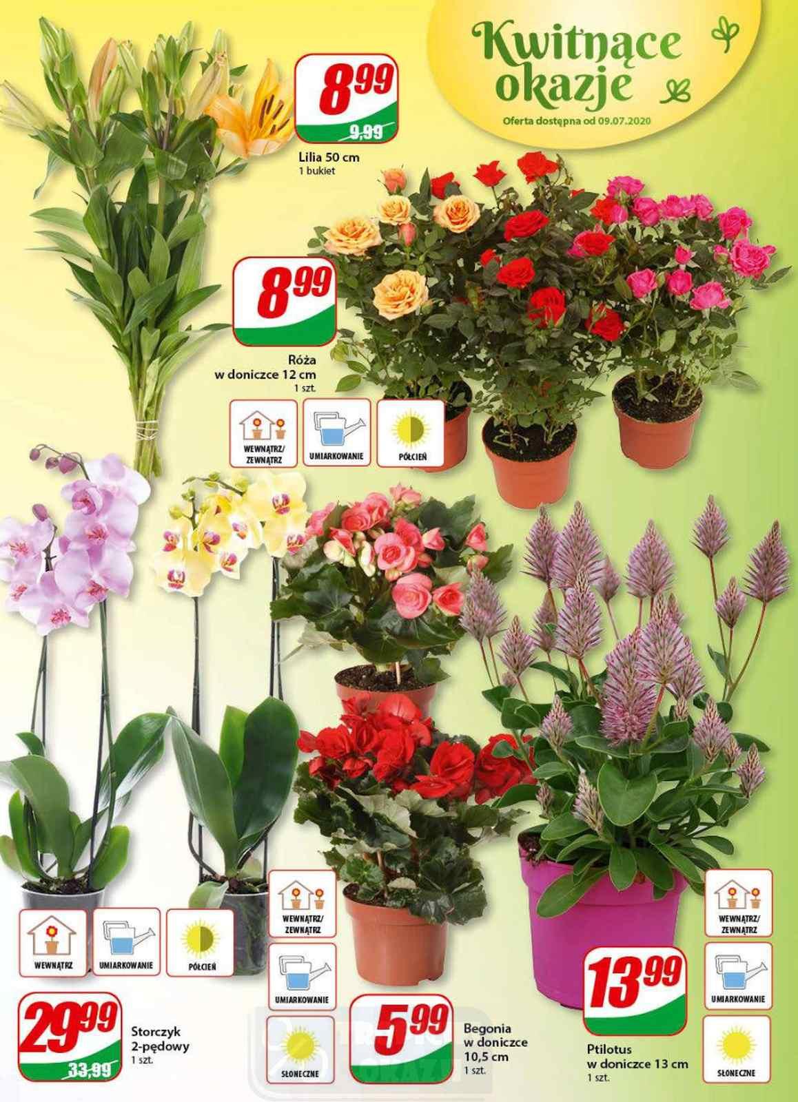 Gazetka promocyjna DINO str. 14