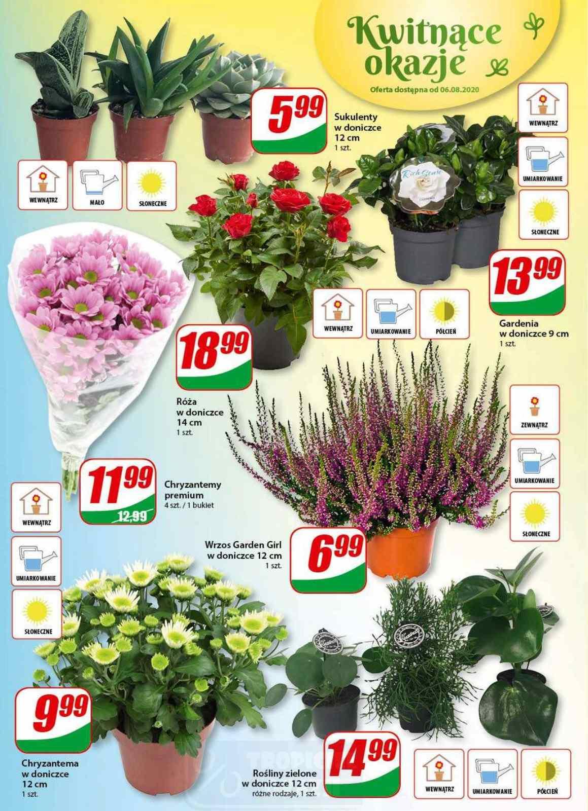 Gazetka promocyjna DINO str. 14