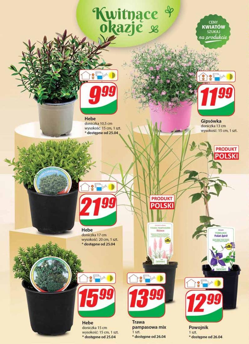 Gazetka promocyjna DINO str. 51