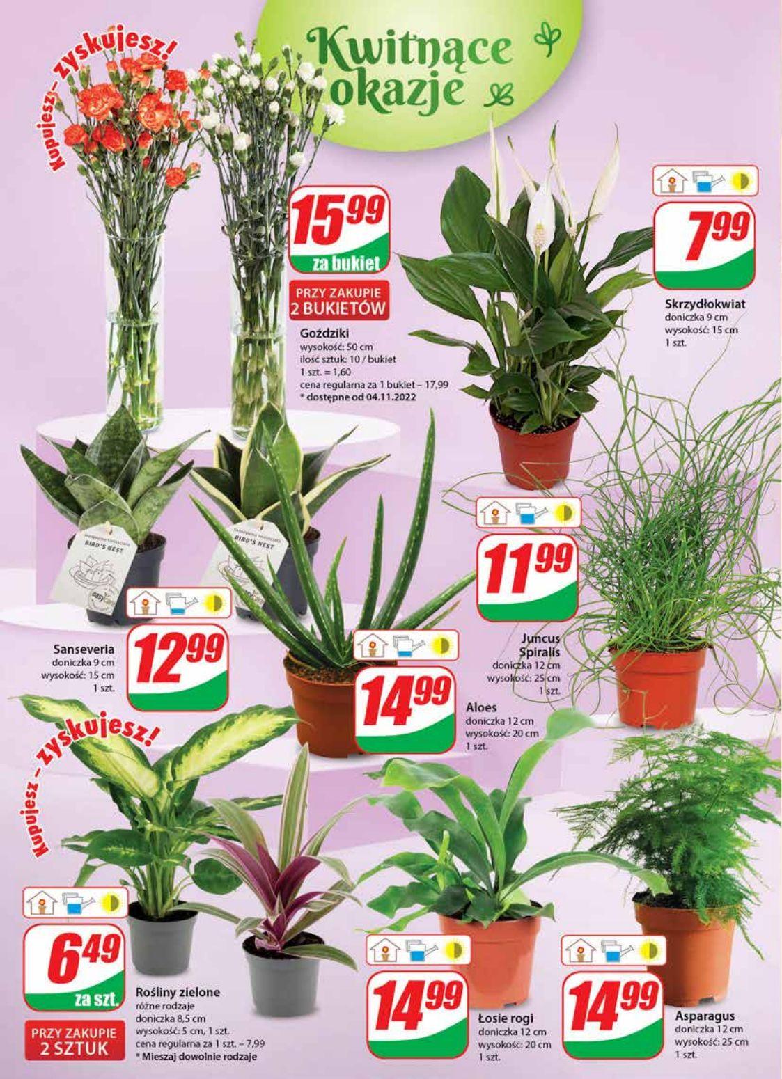 Gazetka promocyjna DINO str. 18