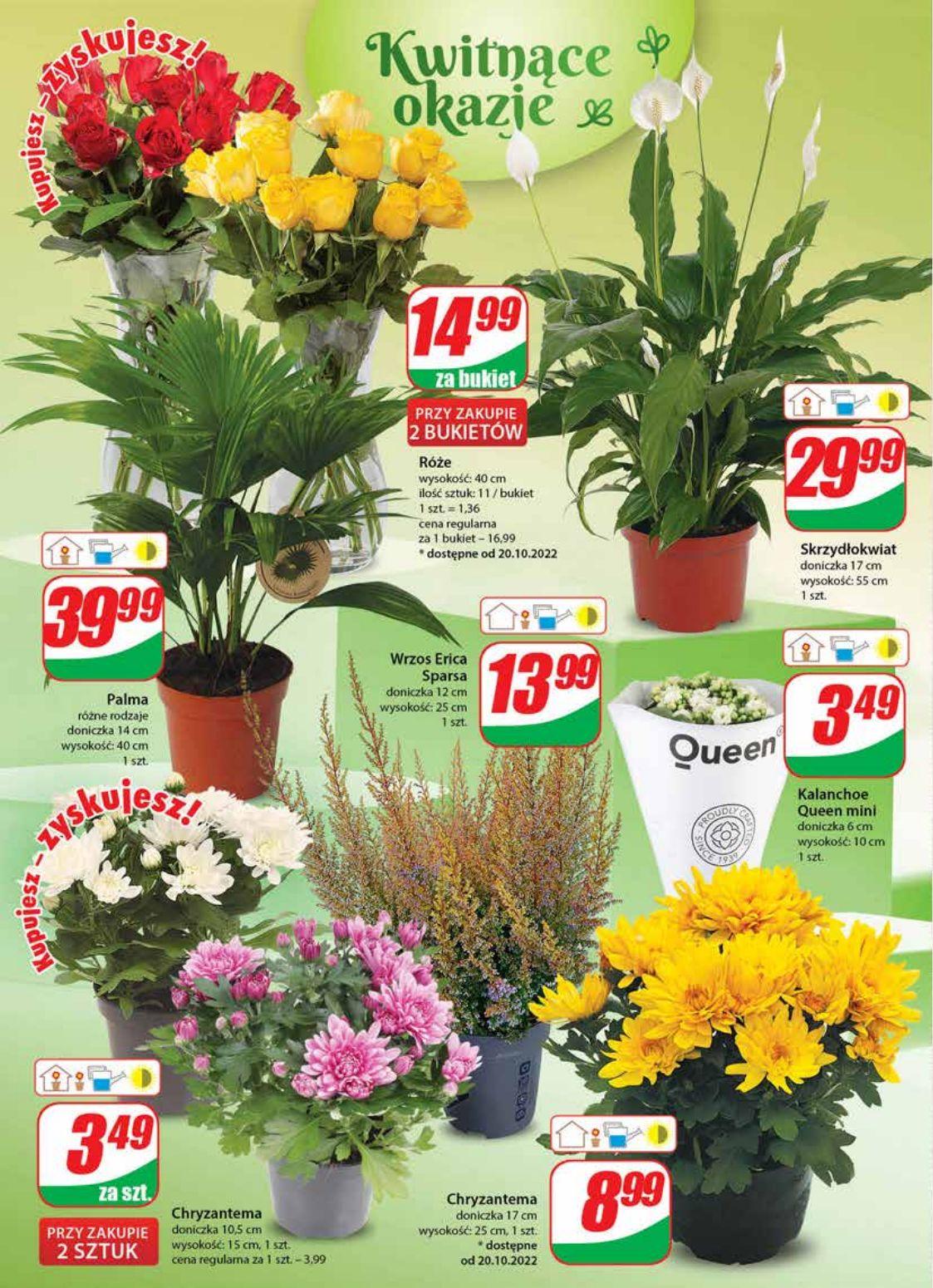 Gazetka promocyjna DINO str. 18