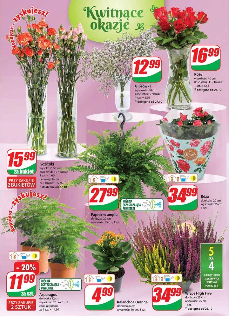 Gazetka promocyjna DINO str. 21