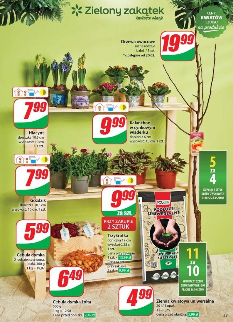 Gazetka promocyjna DINO str. 52