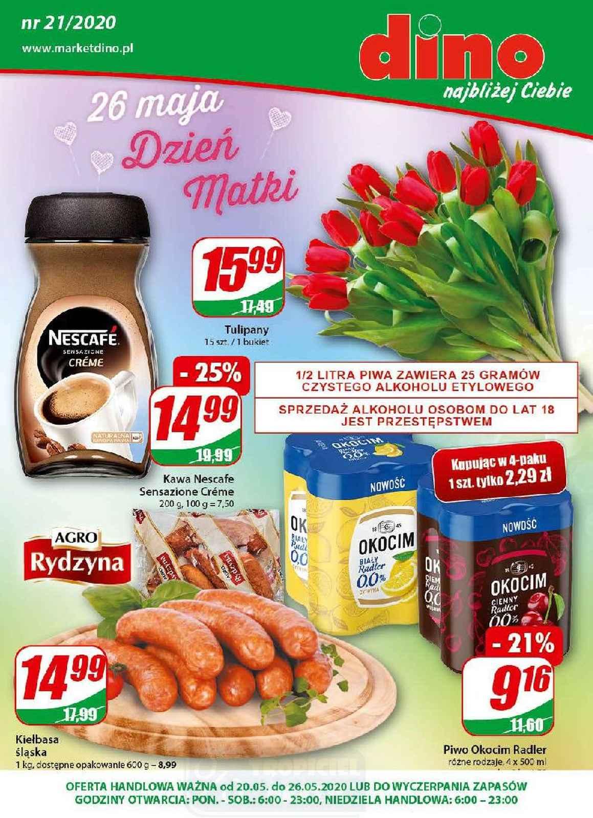 Gazetka promocyjna DINO str. 1