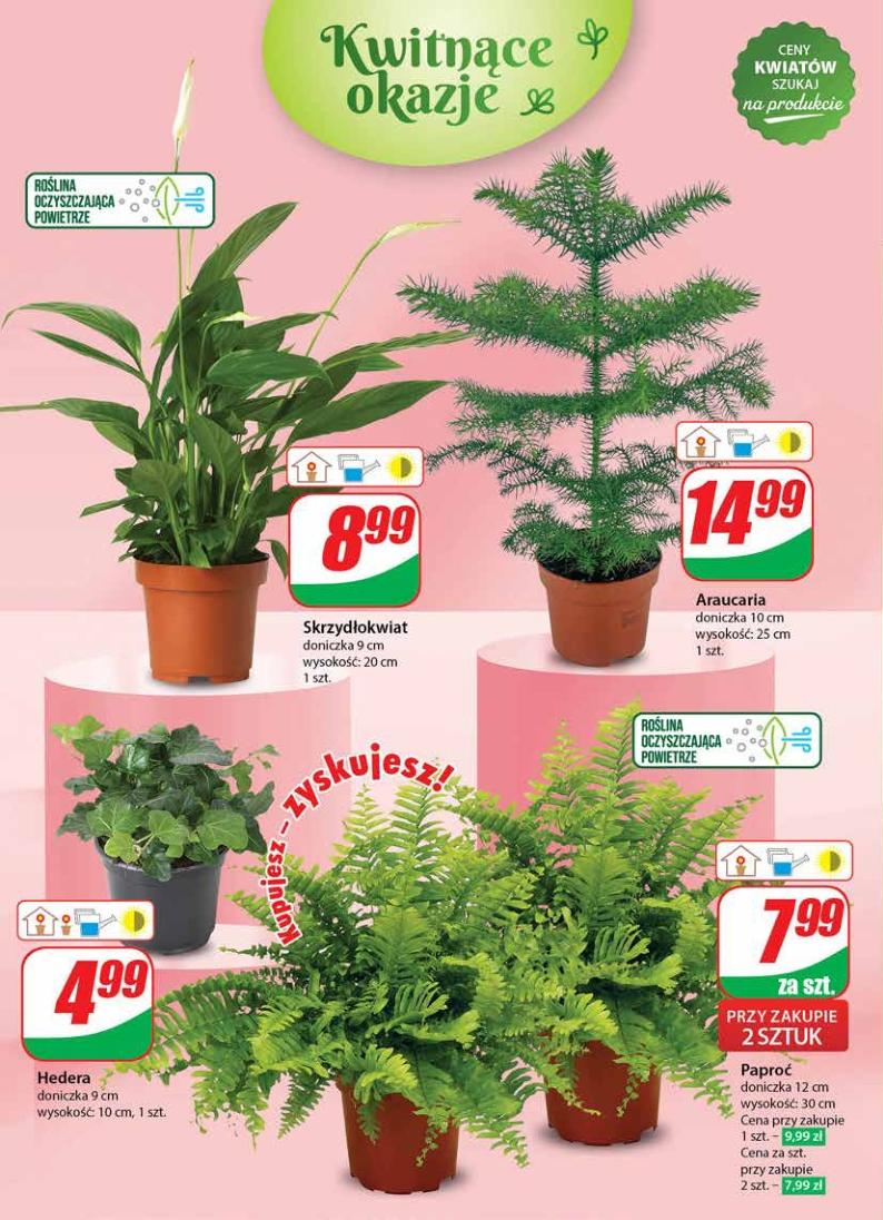 Gazetka promocyjna DINO str. 44