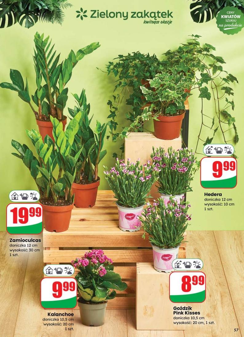 Gazetka promocyjna DINO str. 56