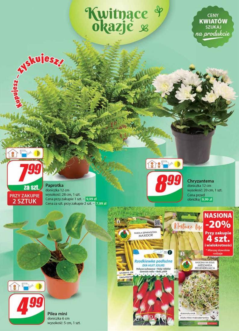 Gazetka promocyjna DINO str. 53