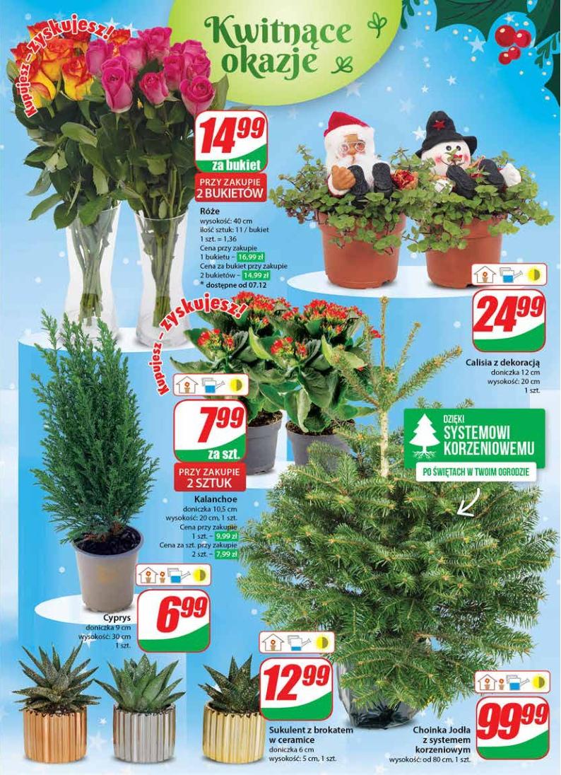 Gazetka promocyjna DINO str. 21