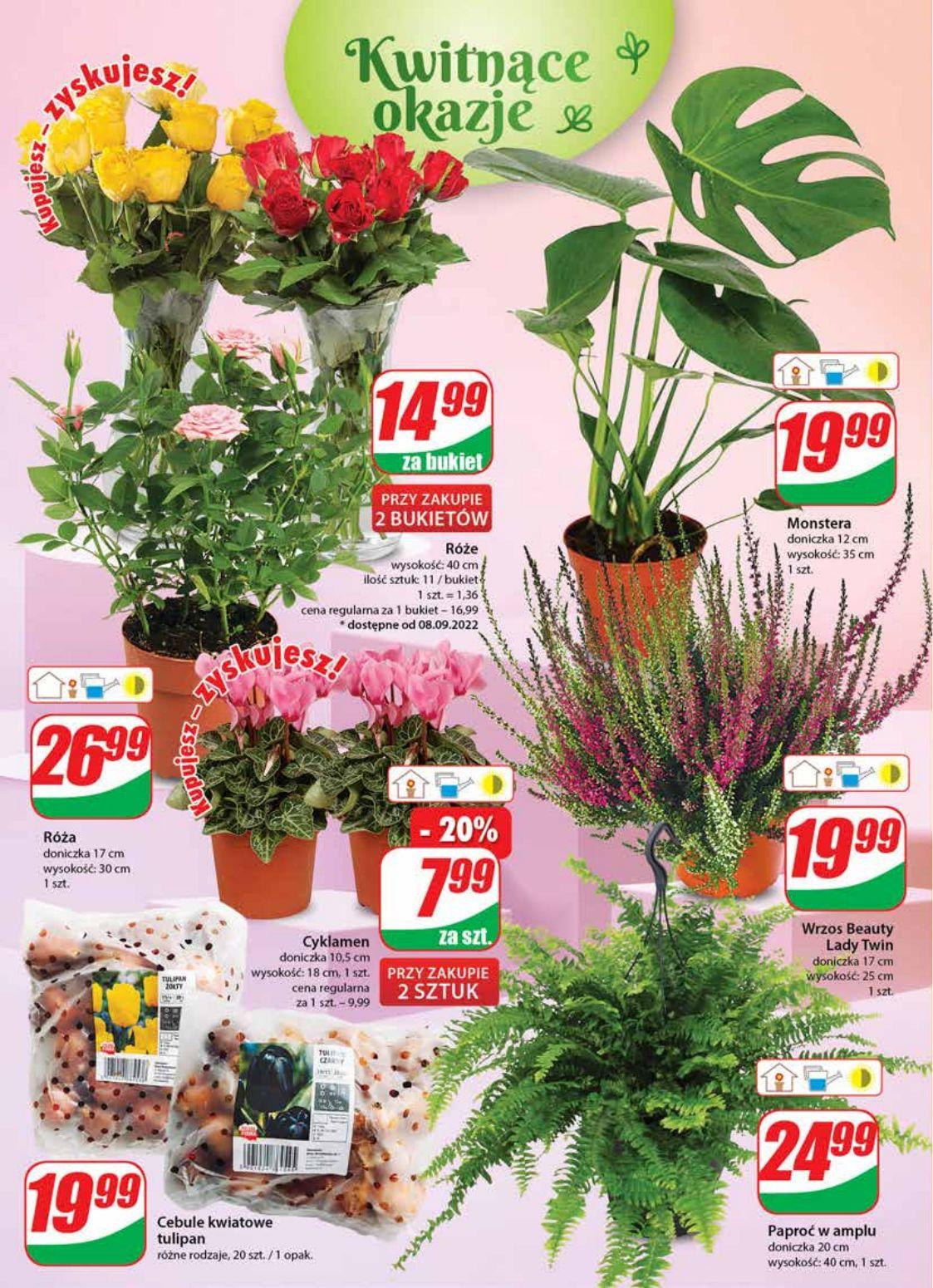 Gazetka promocyjna DINO str. 18